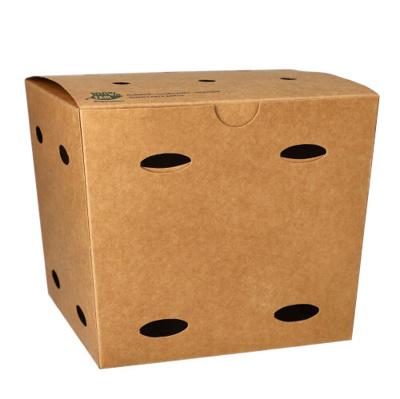 Bakje Frietbox 14x16x16cm 100% Fair (Doos 250 stuks)