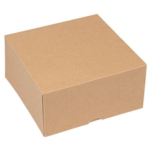 Biodore Zwanenhalsdoos Kraft Bruin (witte binnen zijde) 30x30x9cm (Pak 10 stuks)