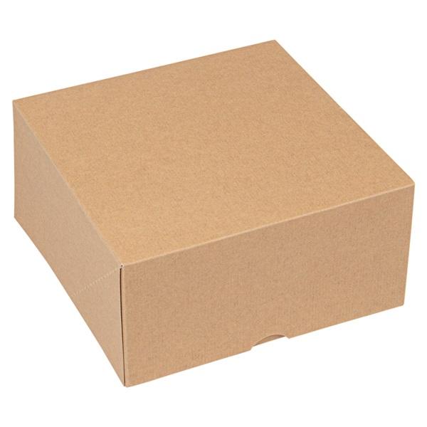 Biodore Zwanenhalsdoos Kraft Bruin (witte binnen zijde) 26x26x9cm (Pak 10 stuks)