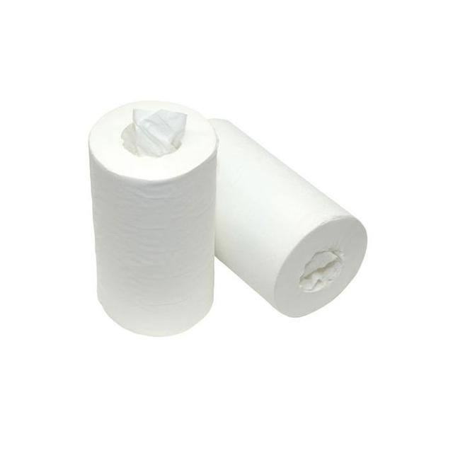 Papernet Mini Poetsrol Cellulose 2 laags 20cm (Pak 9 rollen a 50 meter)