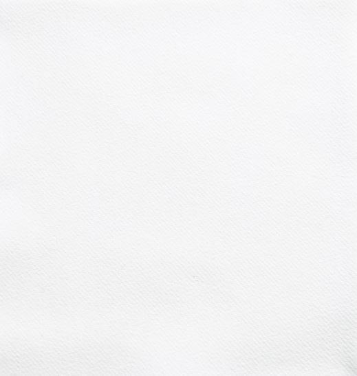 Servet Airlaid Economy 40x40cm Wit 4-vouw (Doos  1800 stuks)
