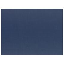 Placemats Blauw 30x40cm ( Pak à 100 stuks )